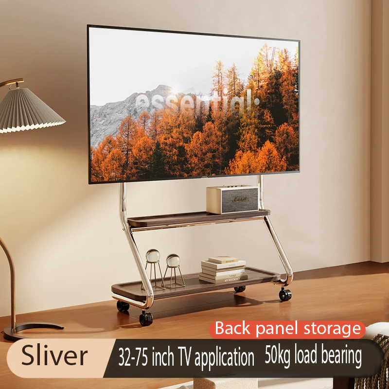 Sr-1 Removable TV stand