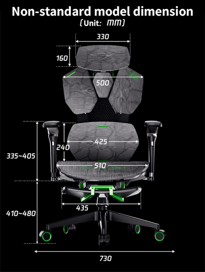 CP30 Ergonomic computer chair