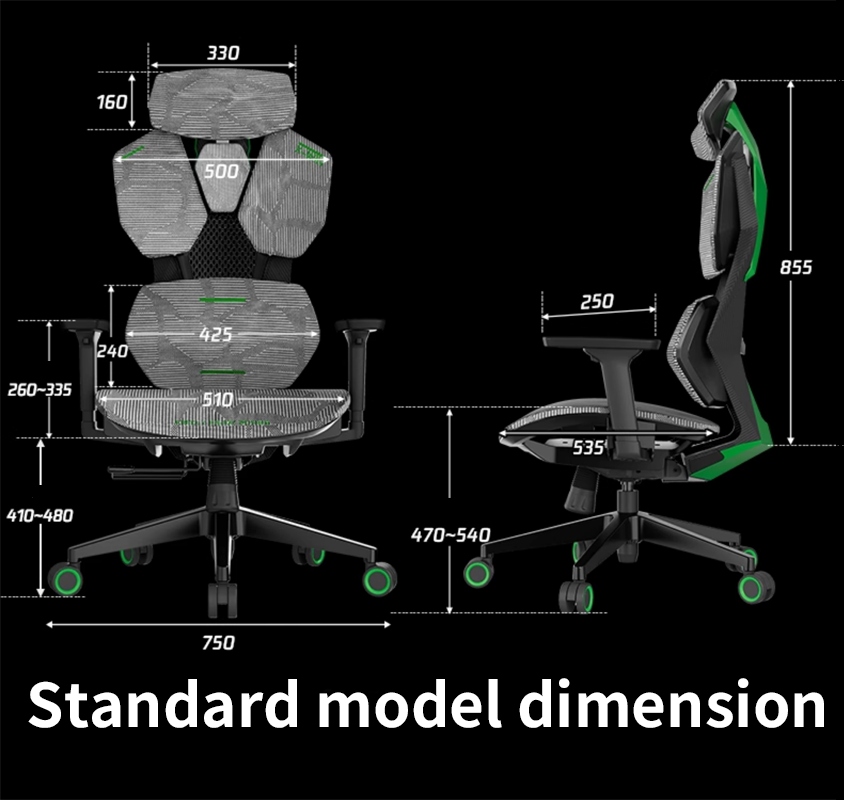 CP30 Ergonomic computer chair
